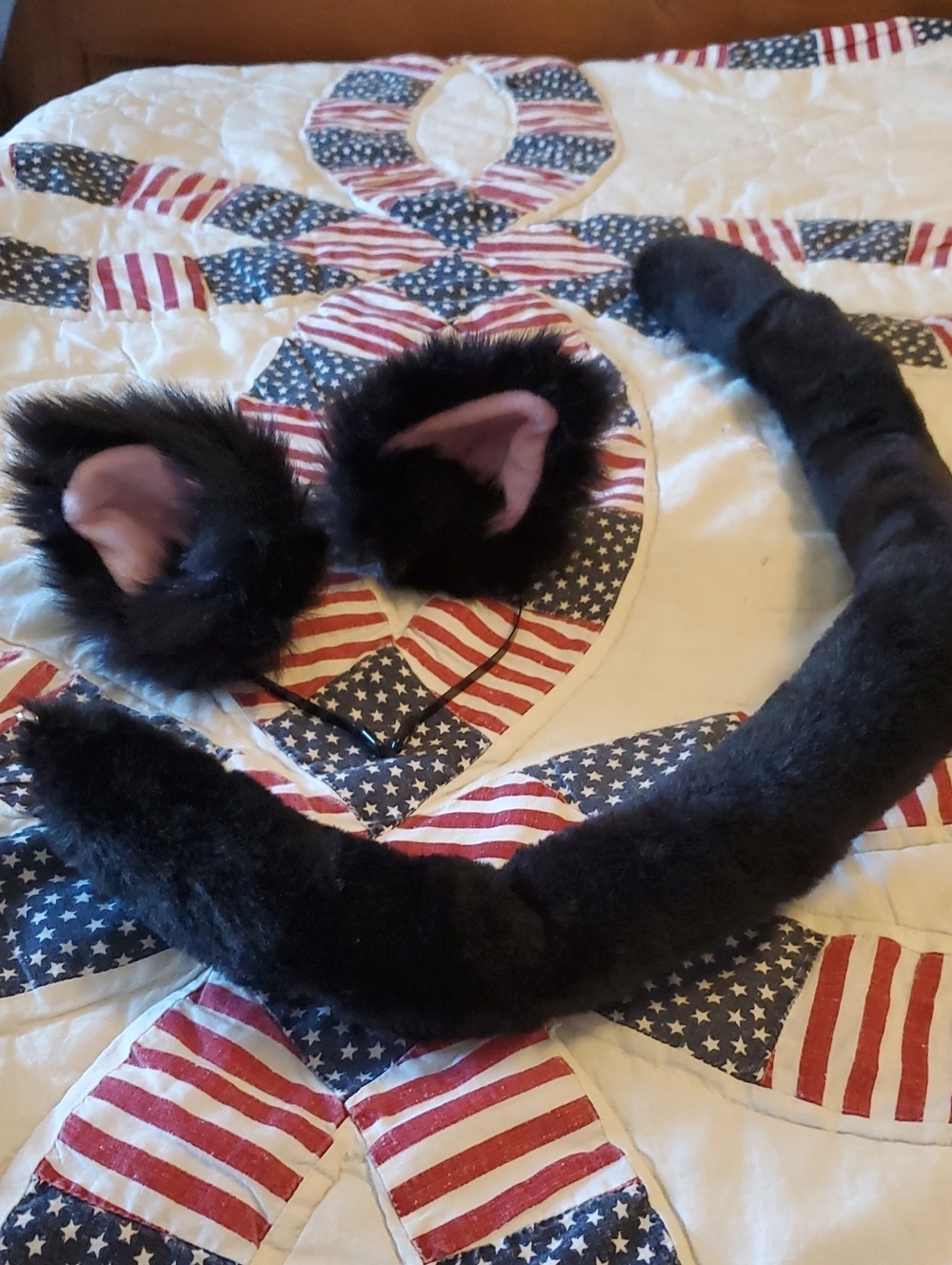 Plush Black Cat Ears and Tail